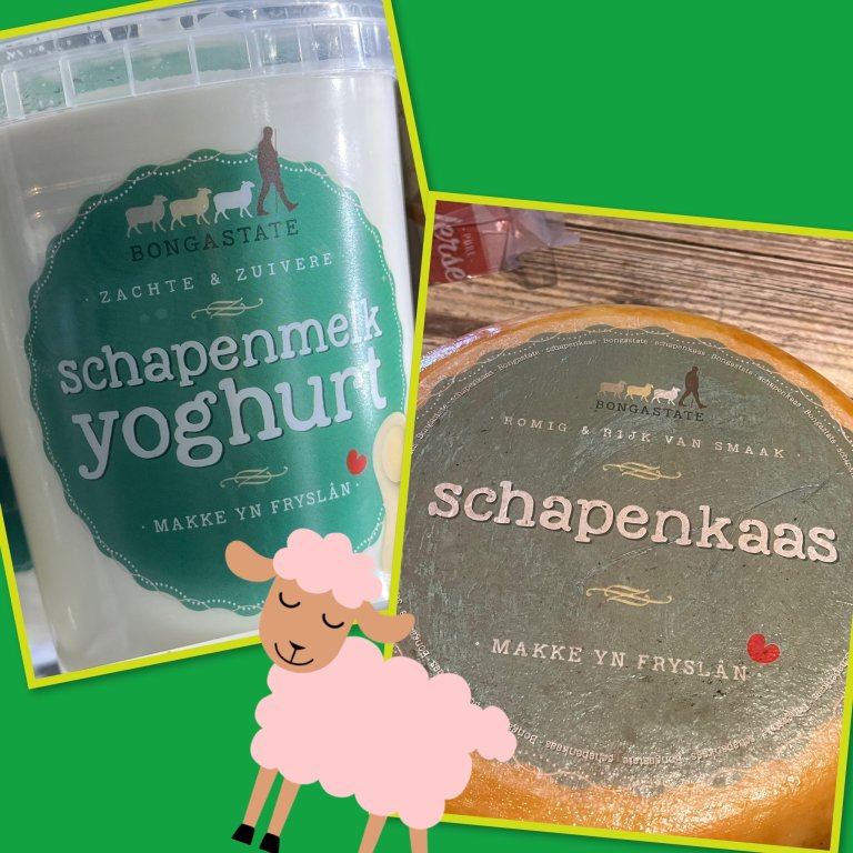  Bongastate Schapenkaas